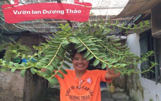 Nguyễn Văn Dương từ người thợ mộc nghèo đến cú đời đời từ hoa lan
